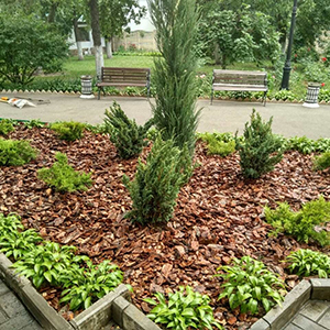 Хвойная мульча в Муроме купить - оперативная доставка по всей России